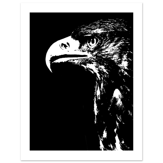 5544f96d-f90a-417f-a1e5-7bf91d8a8473