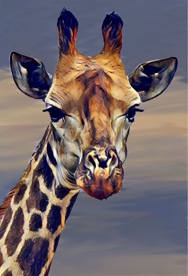 Wild Animal Collection