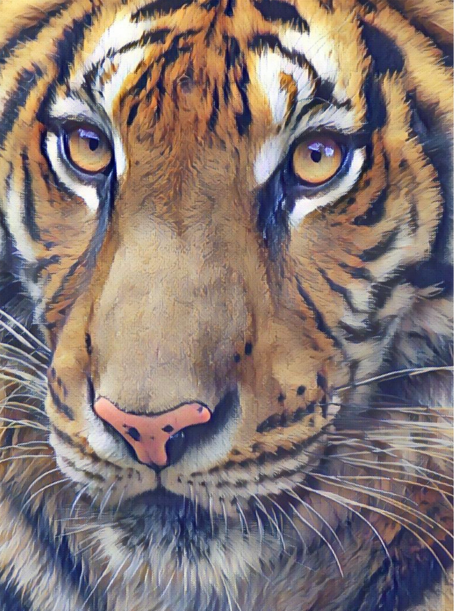 Big Cat Collection