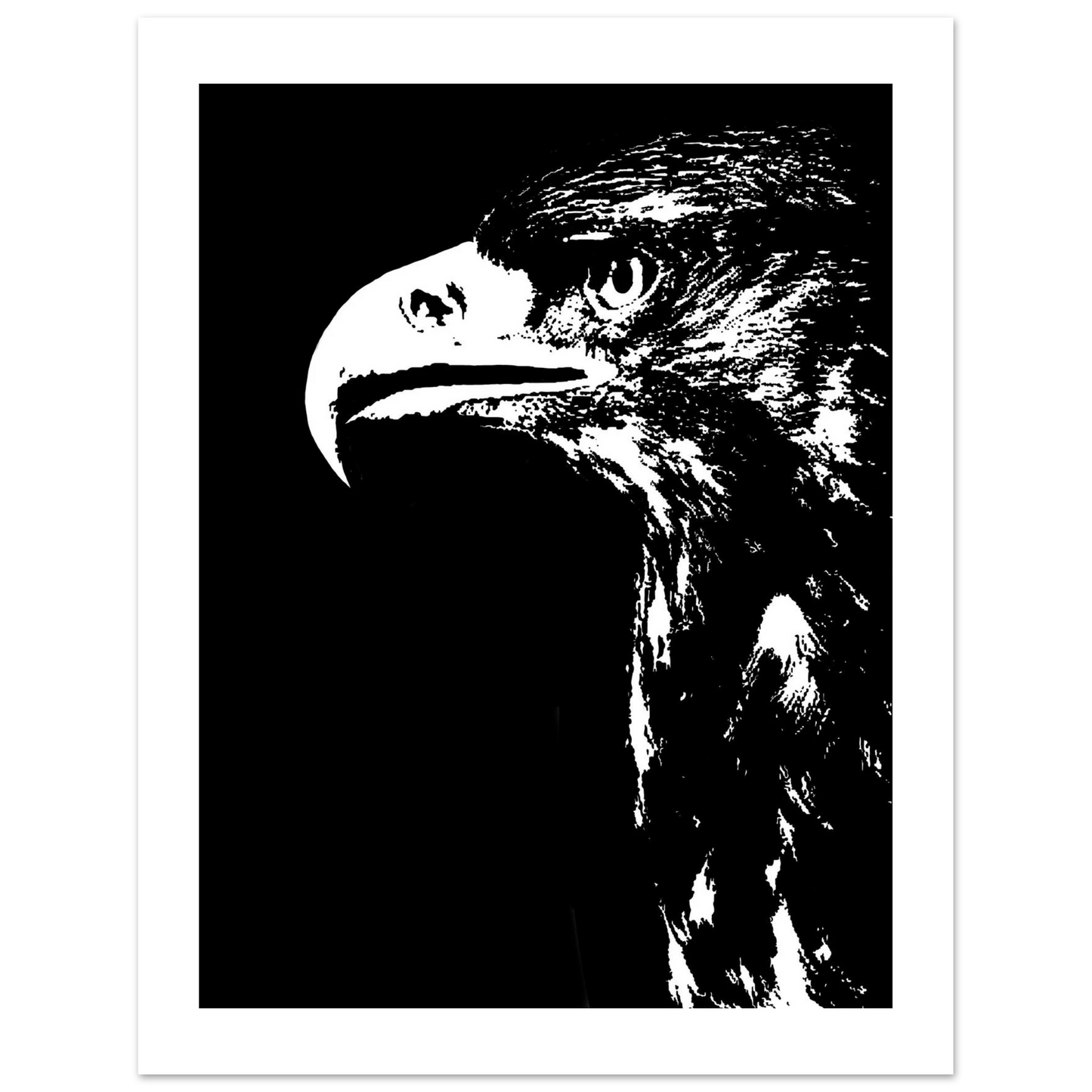 5544f96d-f90a-417f-a1e5-7bf91d8a8473